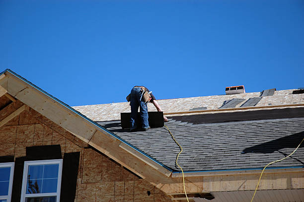 Best Storm Damage Roof Repair  in Randallstown, MD